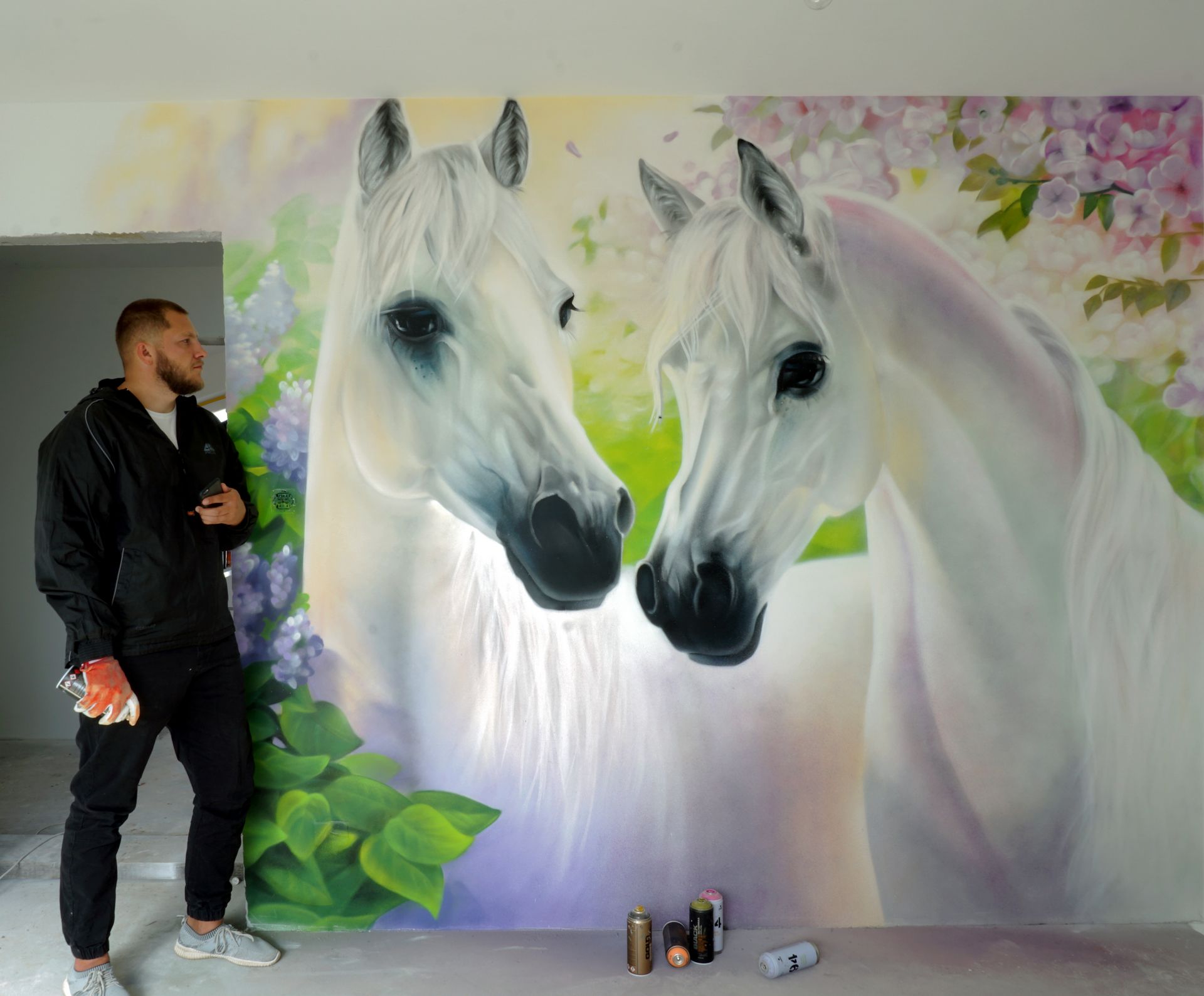 Роспись стен в Вильнюсе